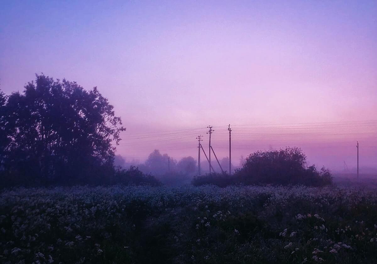如何用妖精影视官网打造顺手习惯