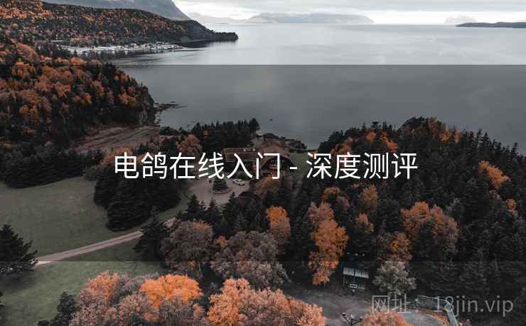 电鸽在线入门 - 深度测评 电鸽在线入门 - 深度测评