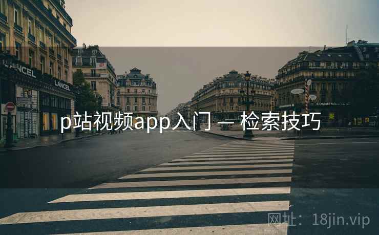 p站视频app入门 — 检索技巧