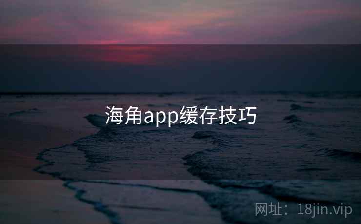 海角app缓存技巧