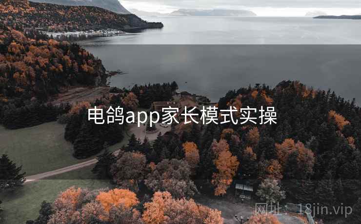 电鸽app家长模式实操