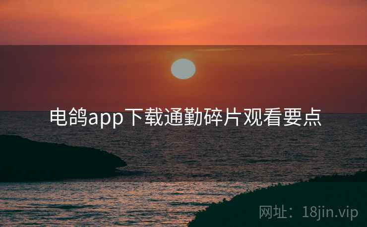 电鸽app下载通勤碎片观看要点 电鸽app下载通勤碎片观看要点