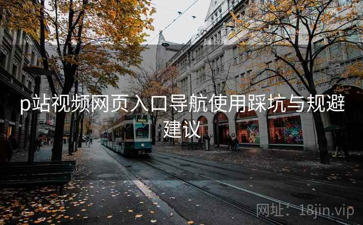 p站视频网页入口导航使用踩坑与规避建议 p站视频网页入口导航使用踩坑与规避建议