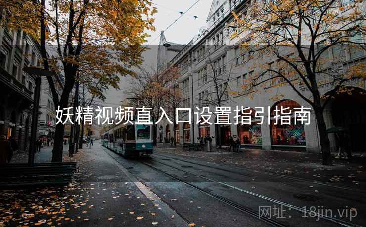 妖精视频直入口设置指引指南